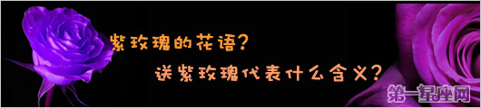 紫玫瑰的花语？送紫玫瑰代表什么含义？