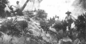 中国人民解放军取得西沙自卫反击战胜利（转自：历史上的今天。com）