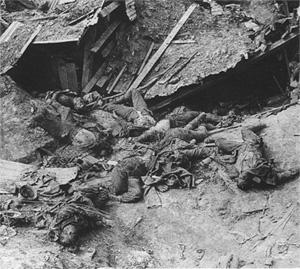 第一次世界大战中英法发动索姆河战役