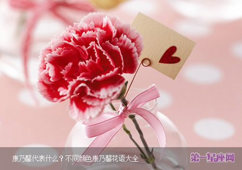 康乃馨代表什么？不同颜色康乃馨花语大全
