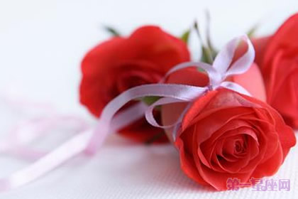 美国的国花是什么花？