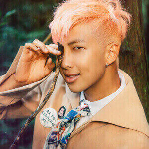 金南俊的英文名